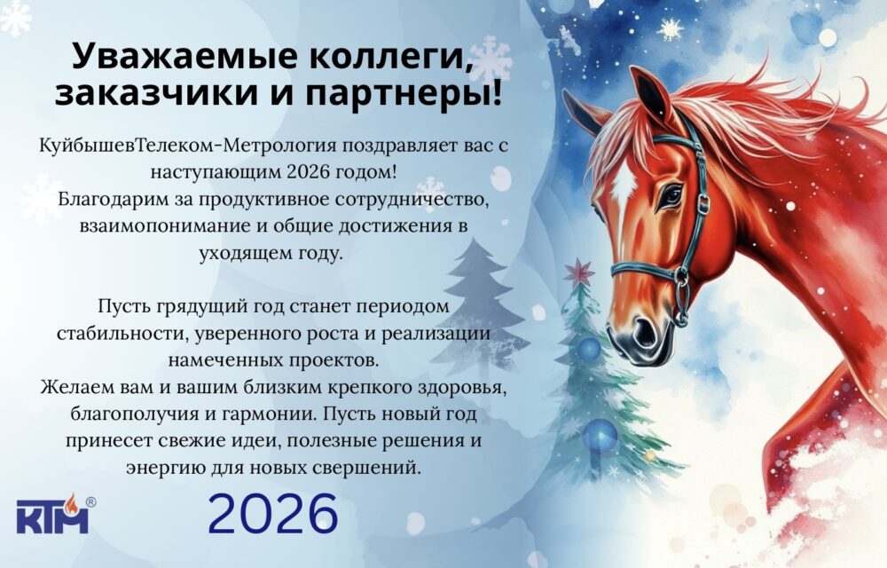 2026 год